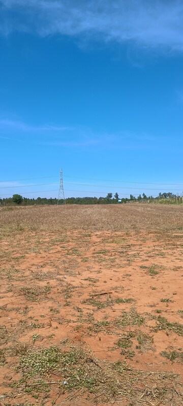  Plot For Sale in Suradhenupura