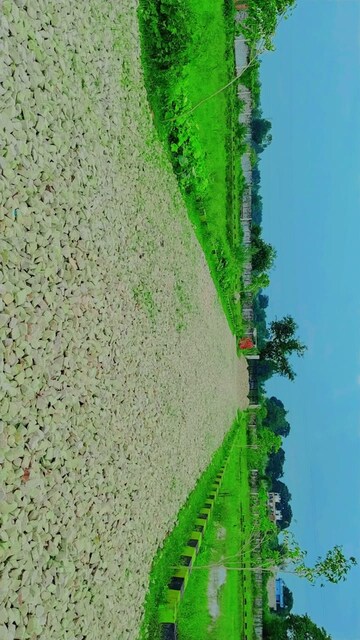  Plot – Exterior View View at Sultanpur Road - for Sale