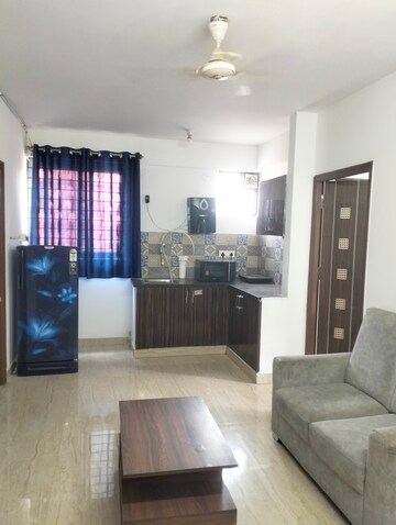 2 BHK Builder Floor For Rent in Hsr Layout