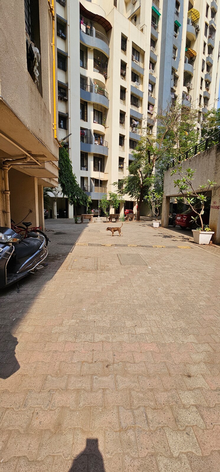 Exterior View, puranik-city 2 Bedroom 700 Sq.Ft. Apartment In Kasarvadavali Thane 8549417