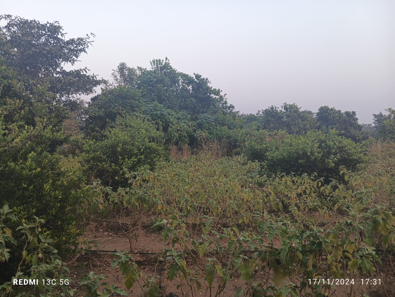 Industrial Plot For Sale in TTC MIDC Industrial Area