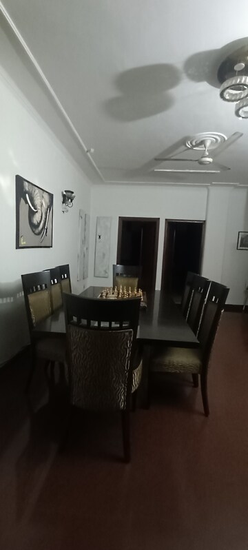 3.5 BHK Builder Floor For Rent in Pamposh Enclave