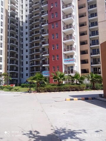2.5 BHK Apartment For Rent in Tulip White, Sector 69