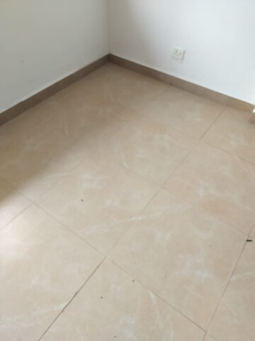 Room in 2 BHK Apartment at Amrapali Dream Valley, Tech Zone 4 Greater Noida – for Rent
