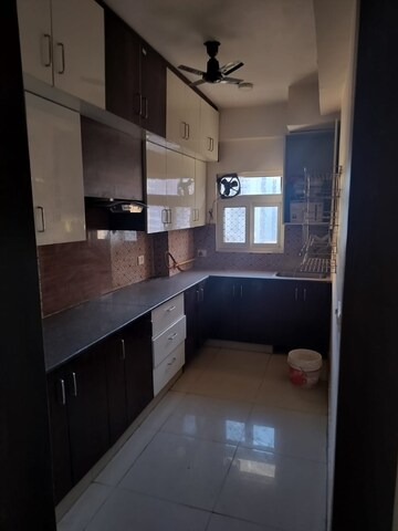 Kitchen in 2 BHK Apartment at Amrapali Dream Valley, Tech Zone 4 Greater Noida – for Rent