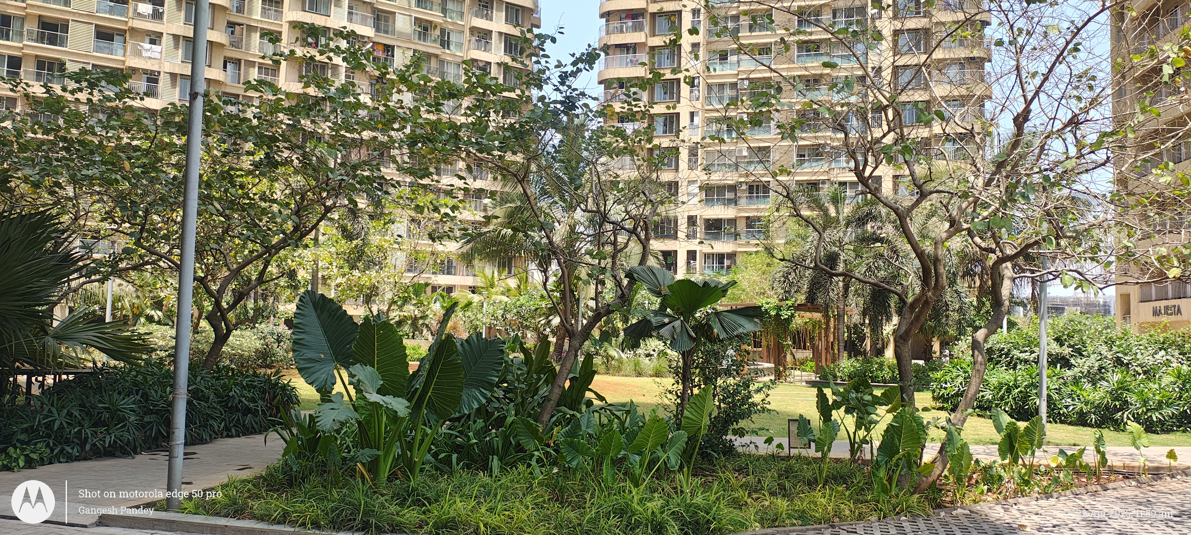 3 BHK + Extra Room Apartment For Rent in Spenta Palazzio