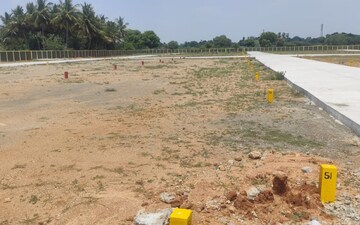 Plot For Sale in Nochiyam