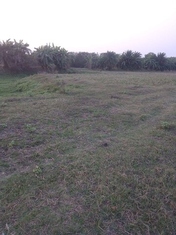 Plot Area in  Plot at New Town – for Sale