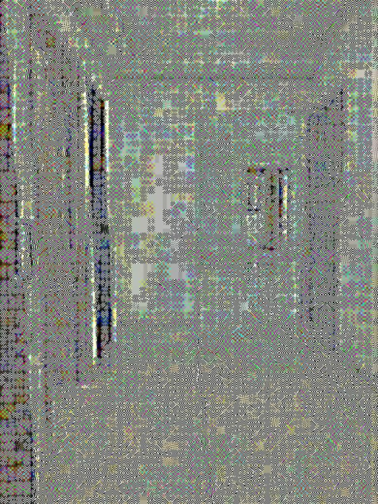 Master Plan, magarpatta-nova-residency 2 Bedroom 875 Sq.Ft. Apartment In Mugawade Pune 8551918