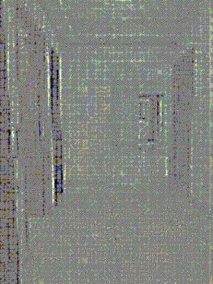 Room, magarpatta-nova-residency 2 Bedroom 875 Sq.Ft. Apartment In Mugawade Pune 8551918