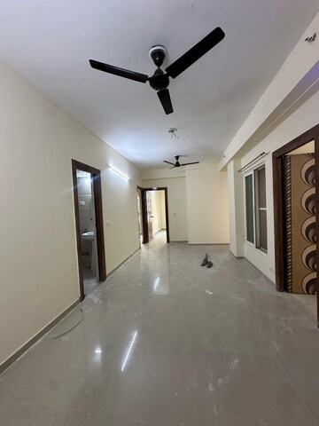 3 BHK Apartment For Rent in Windsor Paradise 2, Raj Nagar Extension