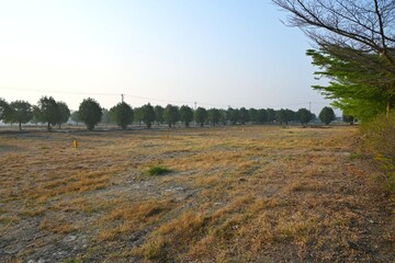 Plot Area in  Plot at Peram Signature Park, Girmapur – for Sale