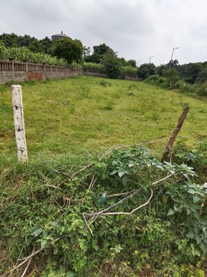  Plot For Sale in Mu 2 Greater Noida