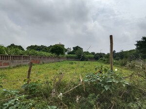 Plot Area in  Plot at Mu 2 Greater Noida – for Sale