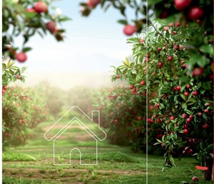  Plot For Sale in Sawantwadi