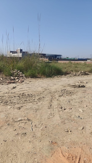 Plot Area in  Industrial Plot at Raj Nagar Extension – for Sale