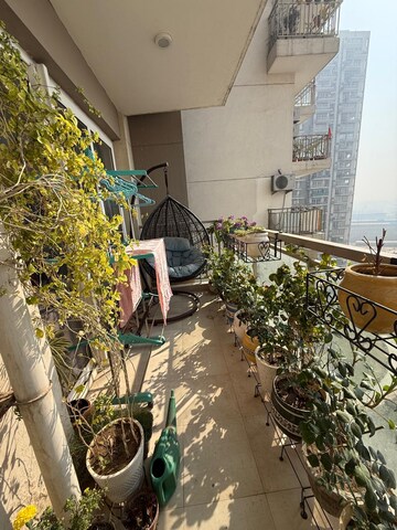 3.5 BHK Apartment For Rent in Shapoorji Pallonji Joyville Phase 2, Sector 102