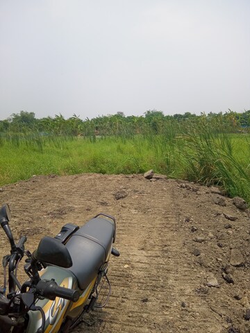 Plot Area in  Plot at Shyamnagar – for Sale