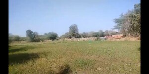  Plot For Sale in Sanand