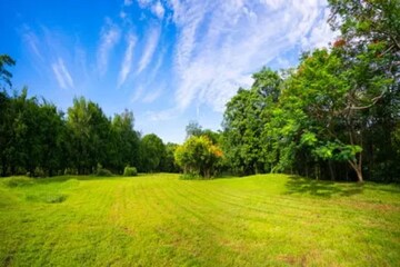 3 BHK Apartment – Garden View at Indiabulls Centrum Park, Sector 103 - for Sale