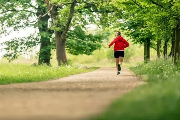 Garden, indiabulls-centrum-park 3 Bedroom 1763 Sq.Ft. Apartment In Sector 103 Gurgaon 8555986