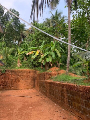  Plot For Sale in Mattannur