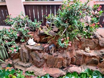 4 BHK Independent House – Garden View at Hsr Layout - for Rent
