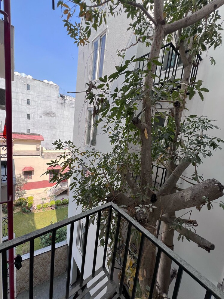 Balcony, dera mandi 3 Bedroom 1345 Sq.Ft. Builder Floor In Dera Mandi Delhi 8557205