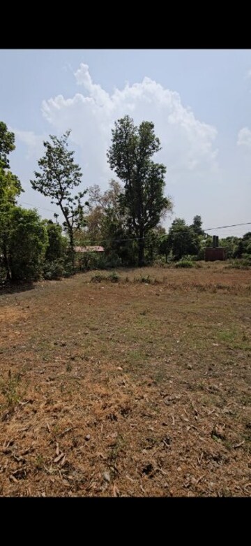 Plot Area in  Plot at Bhauwala – for Sale