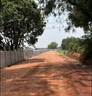 Plot Area in  Plot at Sultanpur – for Sale