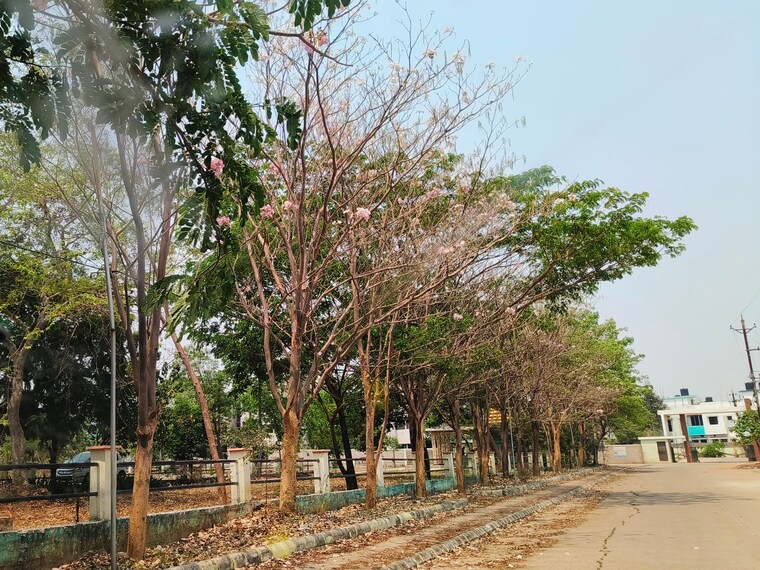 undefined, deopuri  3000 Sq.Ft. Plot In Deopuri Raipur 8559188