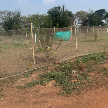 Plot Area in  Plot at Kunchanapalli – for Sale