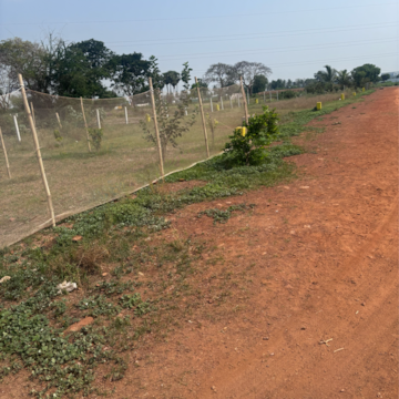Plot Area in  Plot at Kunchanapalli – for Sale