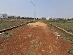2400 Sq.Yd. Plot in Aditi Nagar