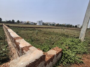 Plot Area in  Plot at Sunderpada – for Sale