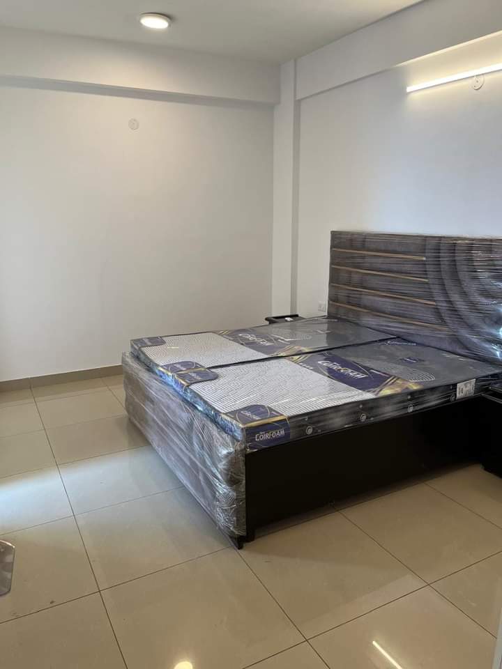 1 BHK + Servant Room Builder Floor For Rent in Builder Floor 