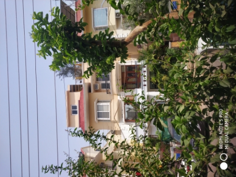 3 BHK + Pooja Room,Extra Room Builder Floor For Rent in Vipul World Plots