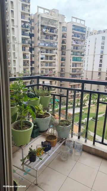 2 BHK Apartment For Rent in Galaxy North Avenue ll, Gaur City 2 