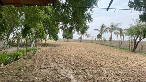 Plot Area in  Land at Rangpur – for Sale