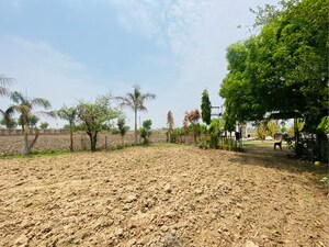  Land For Sale in Rangpur