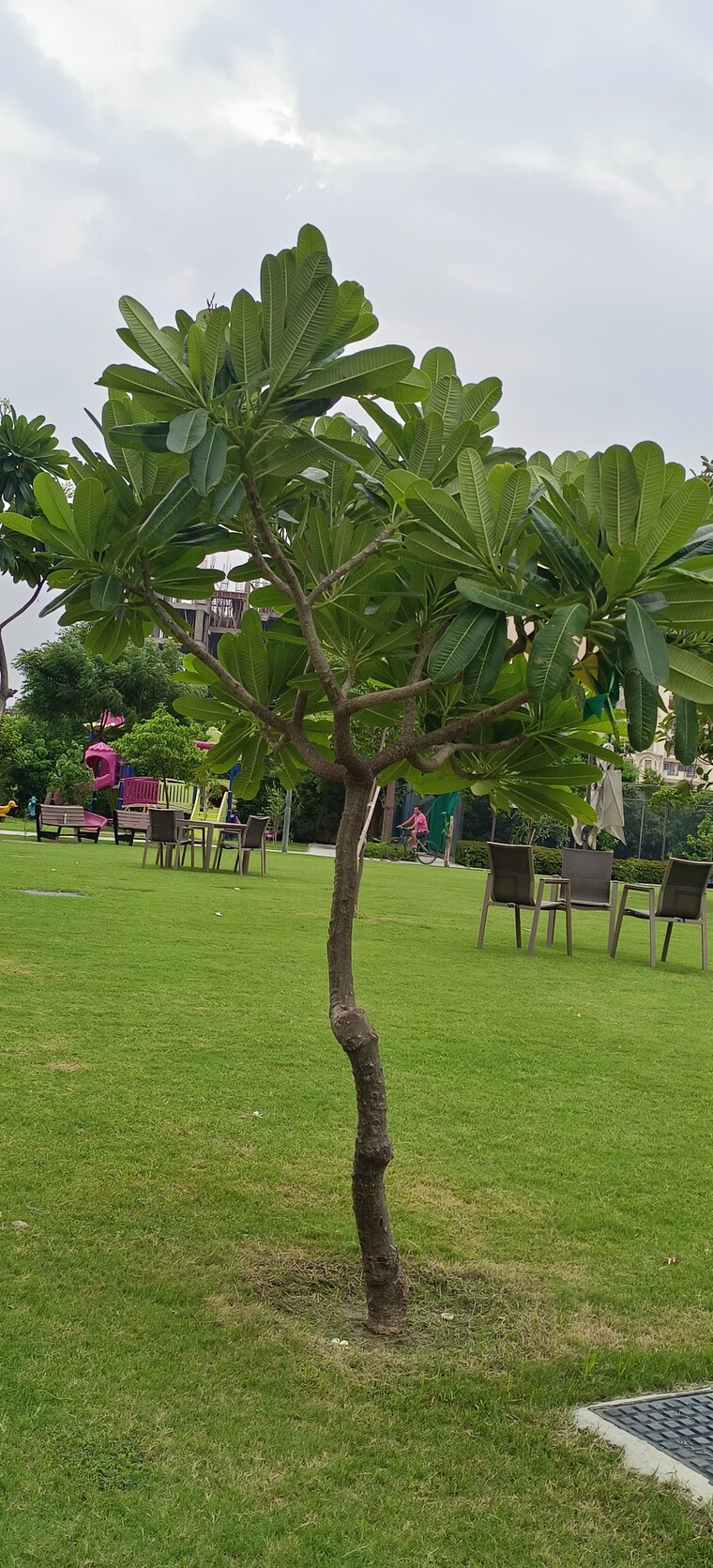 Garden, ansal-sushant-golf-city  2830 Sq.Ft. Plot In Sushant Golf City Lucknow 8560487