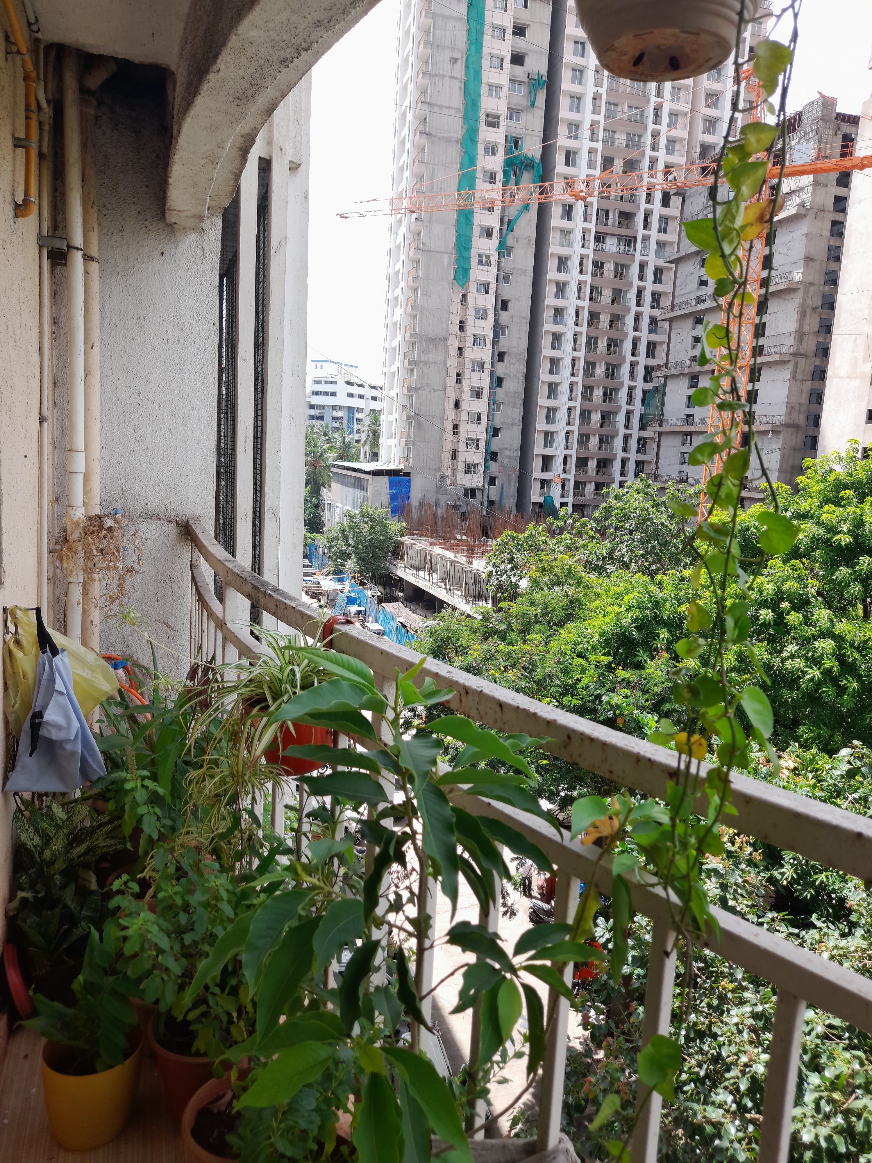 3 BHK Apartment For Sale in Mahavir Square