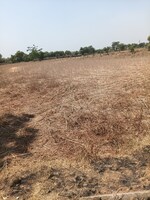 100 Sq.Yd. Plot in Bhondsi