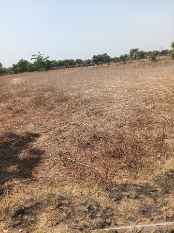  Plot For Sale in Bhondsi