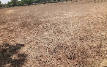 Plot For Sale in Bhondsi