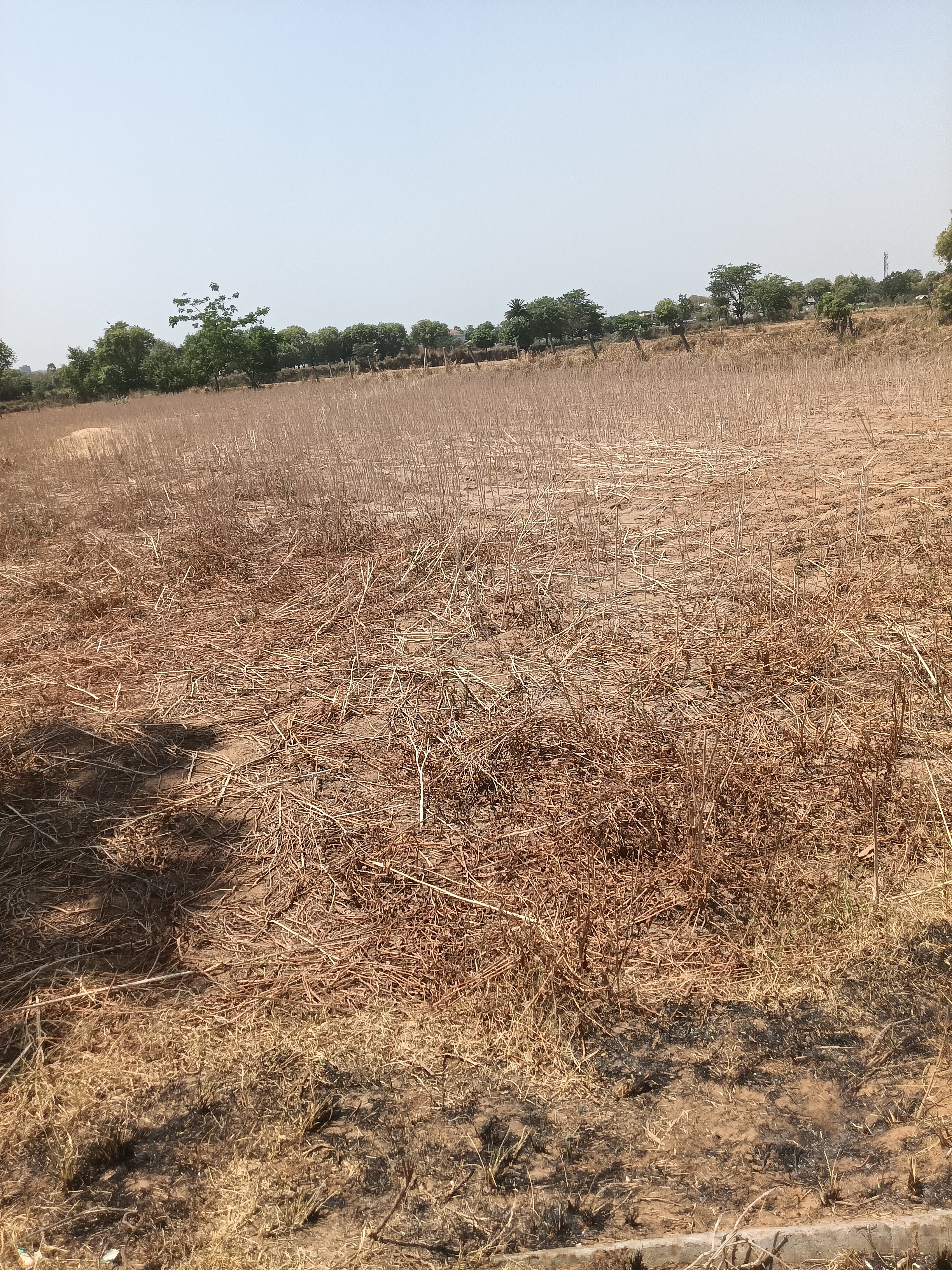 Plot For Sale in Bhondsi