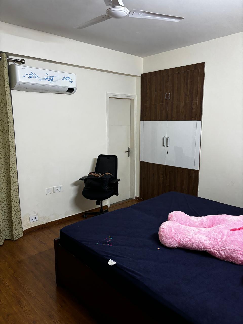 2 BHK Apartment For Rent in DLF Regency Park I