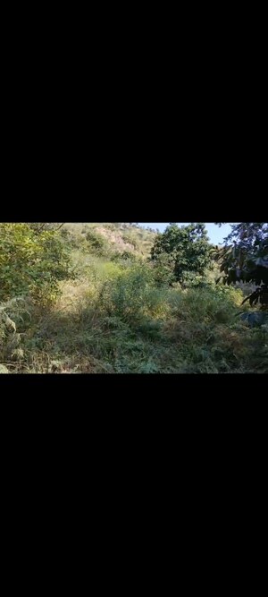 Plot Area in  Land at Mukteshwar – for Sale