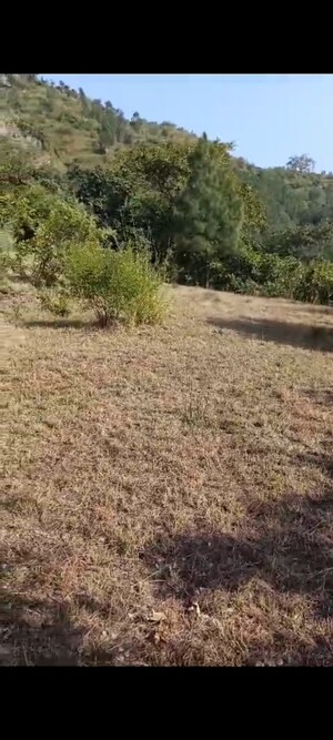  Land For Sale in Mukteshwar