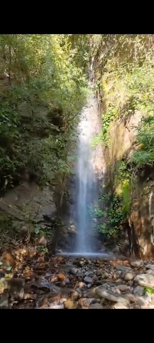 Plot Area in  Land at Mukteshwar – for Sale